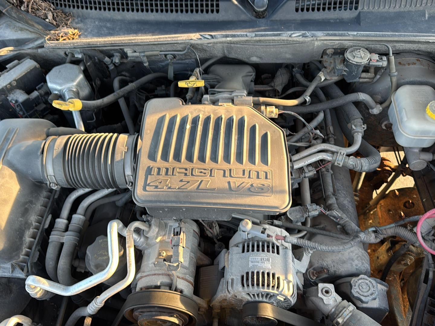 2005 Dodge Dakota SLT